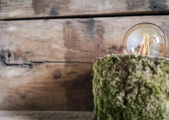 La De L'etoile 10 Personnes Hébergement de vacances Forges-les-Eaux